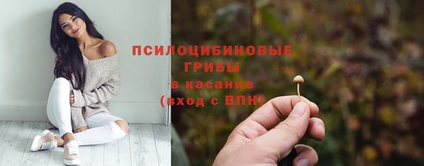 дмт Лихославль
