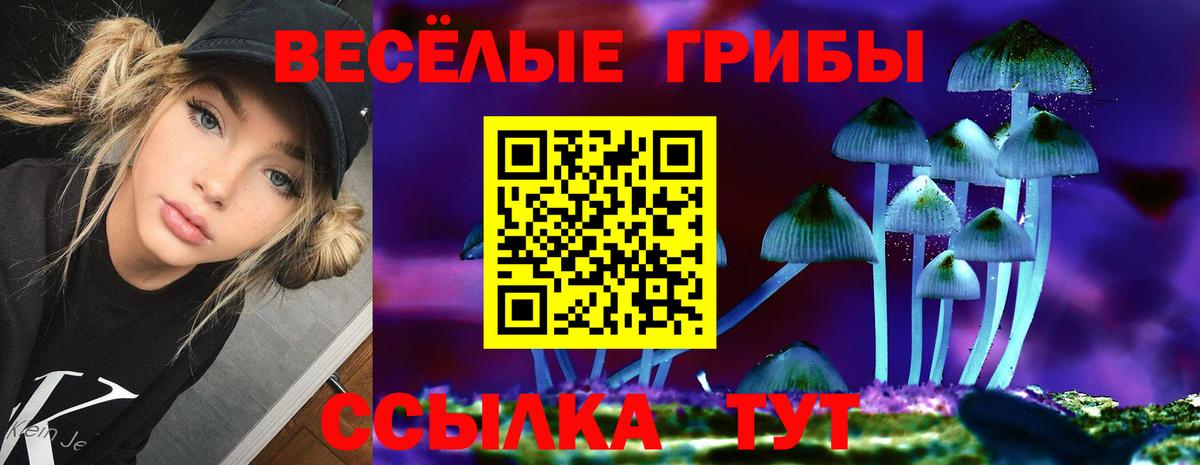 Галлюциногенные грибы GOLDEN TEACHER  Вход с VPN  Юрга  Галлюциногенные грибы GOLDEN TEACHER 