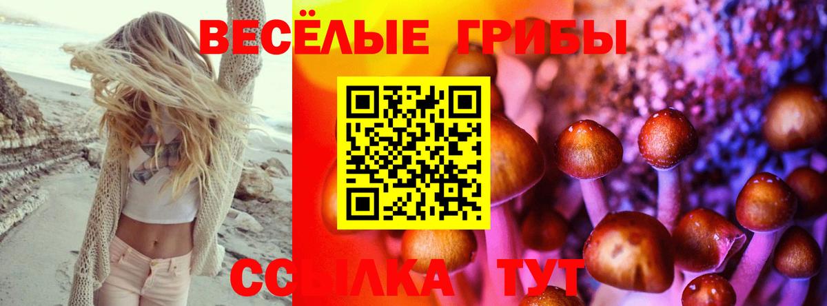 Галлюциногенные грибы Cubensis Юрга